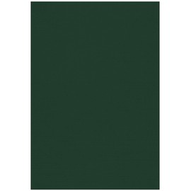 13 x 19 Cardstock - Green Linen (50 Qty.) | Perfect for Holiday Crafting, Invitations, Scrapbooking, Cards and so much more! |1319-C-GNLI-50