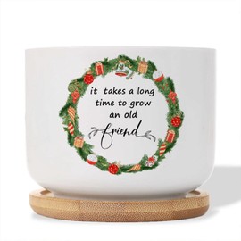 DecStic It Takes A Long Time to Grow an Old Friend Ceramic Planter Bible Verse Planters for Outdoor Plants with Drainage Holes and Saucers Pot for Indoor Outdoor Garden