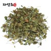 국산 금전초 긴병꽃풀 병꽃풀 연전초 150g Domestic Money Plant Long Stem Flower 150g