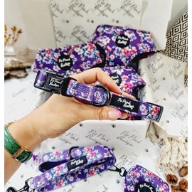 PURPLE COUNTRY COWGIRL DOG COLLAR XS