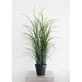 Radial Artificial Indoor/Covered Outdoor Potted Grass Plant - 38"