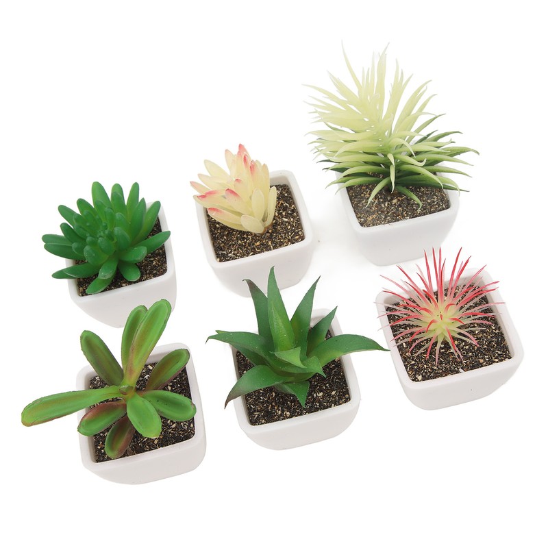 6PCS Potted Artificial Succulents Artificial Plants in Pots Plastic Fake