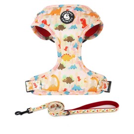 Dog Harness and Leash Set, Adjustable Dog Harness, Dog Leash, No Pull No Choke Puppy Harnesses for Walking Training for Small, Medium, Large Pet