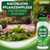 WALDBACH WALDBACH? Neem?l mit Emulgator [500ml] - Natrliches Neem?l fr