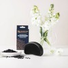 Holistic Hair Wet & Dry Detangling Brush, 1 Brush