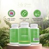 Lily Green Supplements Lily Green Organic Moringa Capsules | 1500mg