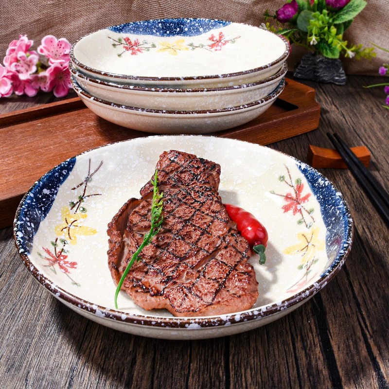 Swlthwen 4 Pcs Japanese Ceramic Dinner Plates, Household Tableware Plates