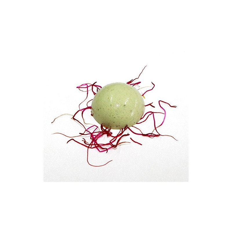 Special Ingredients Carrageenan Iota Premium Quality Powder 200g - Suitable