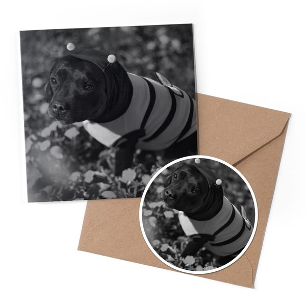 1 x Greeting Card & 10 cm Round Sticker Set