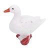 4 Stage Growth Cycle Model Animal Duck Life Cycle Children