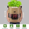Florelf Visible Potato Grow Bags 10 Gallon with Flap 3-Pack,Potatoes