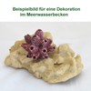 Rocks/Stone, 13.5 x 9.5 x 5.5 cm, Nano Aquarium Seawater
