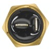 HELLA 6PT 009 309-531 Sensor, oil temperature - 12V -