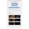 Clairol Lasting Colour Permanent Hair Dye | Ideal Grey Coverage