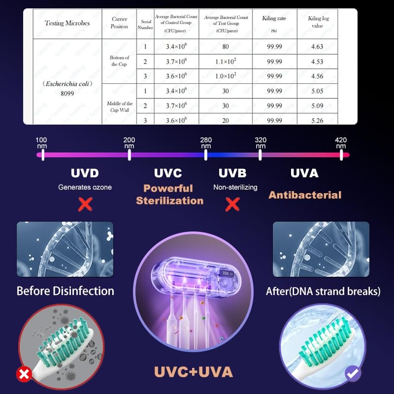 UV Toothbrush Sanitizer Holder for 4 | Wall Mounted Toothbrush