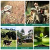 Outdoor Wildlife Hunting Trail Camera Field Detection HD Camera PIR