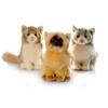 YAIRYANGTZE Plush Cat Toys Stuffed Animal Toy Cute Realistic Maine