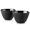 Velaze Iron Tea Cups, Japanese Style Enameled Cast Iron Teacup