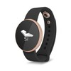 AQUARIUS 131 Smart Watch with OLED Display (Gold)