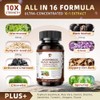 Wormwood Black Walnut Cleanse for Human 1200mg - Gut Health
