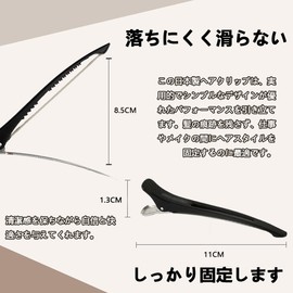 Hairpin Dakar Hair Clip Hair Clip Bangs Clip Salon Professional Haircut Arrangement Beauty Accessory Strong Clip (Black, Set of 2)