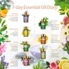 PHATOIL Essential Oil Set, Aroma Oil, Trial Set, Natural, Essential