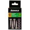 ARNOLD - MTD Abscherbolzenkit für 2-stufige Schneefräsen bis BJ 2004,