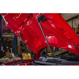 Pontiac Firebird Trans Am Ws6 Hood Lift Supports