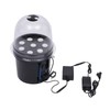 SHZICMY Hydroponic Box 8 Holes Hydroponic System Grow Kit Hydroponic
