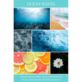 ECO CANDLE CO. Tea Light Candles, Ocean Waves, 10-Pack - Scents of Marine Air, Citrus, & Musk - Recyclable Plastic Cups, 100% Soy Wax, No Lead, Hand Poured, Midwest Grown Soybeans, .6 oz. Each