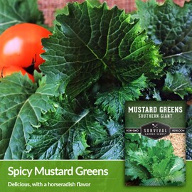 SURVIVAL GARDEN SEEDS Survival Garden Seeds - Southern Giant Mustard Greens Seed for Planting - Packet with Instructions to Grow Spicy Brassica Juncea Leaves in Your Home Vegetable Garden - Non-GMO Heirloom Seed Variety