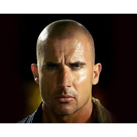 Dominic Purcell - 24X36 Poster Rare Perf #IDPP116377