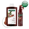 chlorane Klorane Quinine Edelweiss Shampoo 400ml + Serum 100ml /