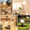 Euxper G9 40 W Halogen Bulbs, Clear Capsule G9 Dimmable