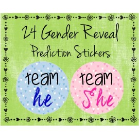 Unbranded 24 Gender Reveal Baby Shower - Team He/Team She (#4) Guess Boy Or Girl-Triangles