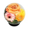 Achla Designs Glass Flower Aquarium, Globe Vase