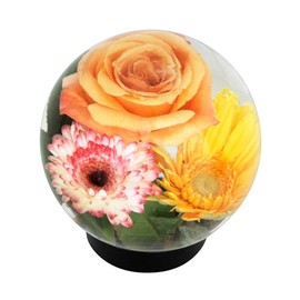 Achla Designs Glass Flower Aquarium, Globe Vase