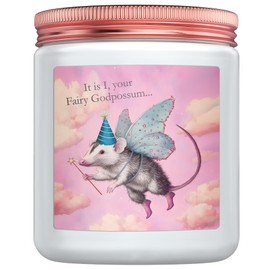 Funny Birthday Gifts for Women – Gag Gift for Best Friend, Sister Bestie, Coworker BFF – Cute White Elephant, Just Because, Christmas, Quirky Animal Lover Gift – “Fairy Godpossum” Candle