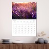 Lavender - The purple miracle flower (Monthly Wall Calendar 2025