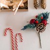 Candy Canes Set of 10 12.5 cm Red/White with String