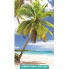 Beaches: 2025-2026 28-Month Inspirational Pocket Planner