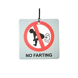 AAF Citrus Car Air Freshener, Area Deodorizer, Funny Road Signs, Novelty Scented Gift