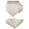 HISDERN Men's Wedding Ties and Pocket Square, Paisley Tie Set,