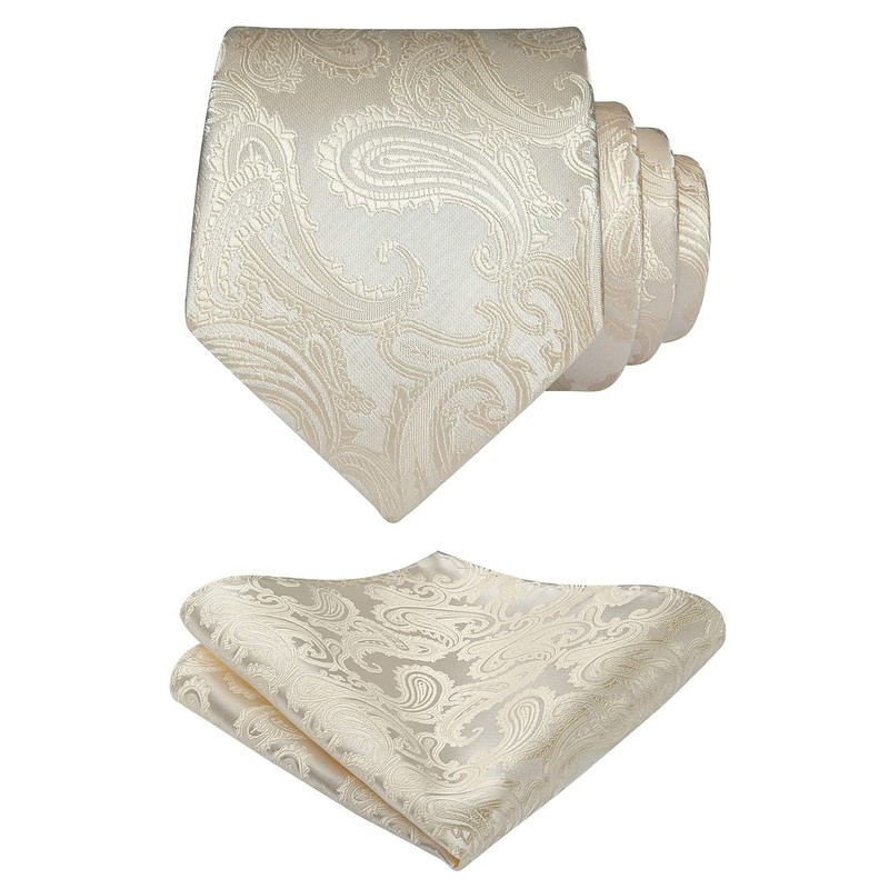 HISDERN Men's Wedding Ties and Pocket Square, Paisley Tie Set,