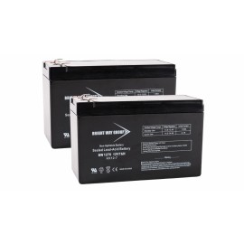 Bright Way Group MX350 Dirt Rocket (Versions 9+) Razor Electric Scooter Battery Set of 2