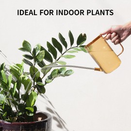 ONEDONE Indoor Plants Watering Can, Long Spout Small Watering Can 1L 34oz, Watering Can for Indoor Plants House Plants Garden Flowers w/Bonus Spray Bottle, Squeeze Bottle (Amber)