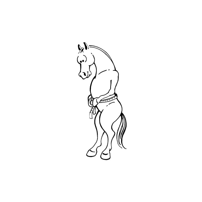 Tough 1 Sure Measure Horse and Pony Height/Weight Tape