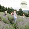 Victoria's Lavender Organic Don’t Bug Me Insect Spray DEET-Free, Made