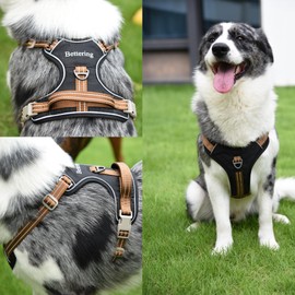 Black Dog Harness No Pull with 2 Leash Clips, Adjustable Soft Padded, Reflective Oxford No Choke Pet Vest with Easy Control Handle for Large Medium Small Sized Dogs (S)