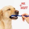 Cepillo Dientes Para Perro Gato 3 Pzas Doble Cabezal Mr